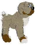 Krunchez's Hustle and Bustle — “Bustle”