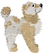 Mosswood Revelry's Mess Me Around — “Buttercup”