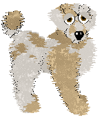 Mosswood Revelry's Mess Me Around — “Buttercup”