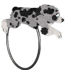 Spellbound's After the Glitter Fades — “Druid”