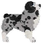 Spellbound's After the Glitter Fades — “Druid”