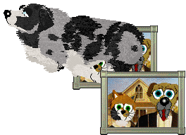 Spellbound's After the Glitter Fades — “Druid”