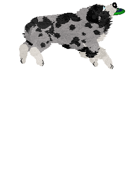 Spellbound's After the Glitter Fades — “Druid”