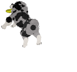 Spellbound's After the Glitter Fades — “Druid”