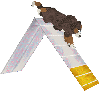 Spellbound's How Still My Love — “Eclectic”