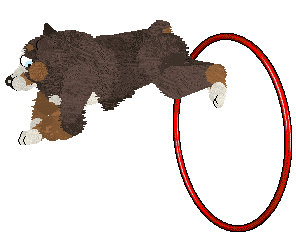 Spellbound's How Still My Love — “Eclectic”