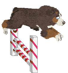 Spellbound's How Still My Love — “Eclectic”