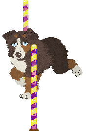 Spellbound's How Still My Love — “Eclectic”