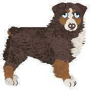 Spellbound's How Still My Love — “Eclectic”