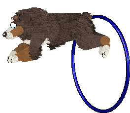 Spellbound's How Still My Love — “Eclectic”