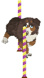 Spellbound's How Still My Love — “Eclectic”