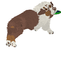 Spellbound's Obsessive Was My Love — “Norse”