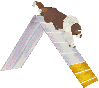 Spellbound's Obsessive Was My Love — “Norse”