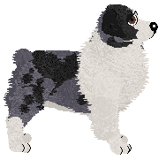 Spellbound's Some Kind Of Temptation — “Pantheon”