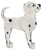 Sz's Perfect Basal Cleavage — “Mica”