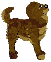 Winter's Double Chocolate at SzK — “Brownie”