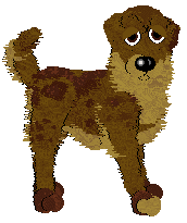 Profile image of Winter's Double Chocolate at SzK