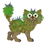 Profile image of Swallowtail/FK's Mossballz in Bloom