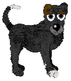 Profile image of PH’s Total Eclipse of the Heart