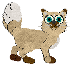 Profile image of Aniseed/PH’s Academic All-Star