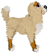 Cargo/PH’s Absolute Zero — “Kelvin”