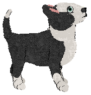 Profile image of MW/PH’s Stardust Symphony