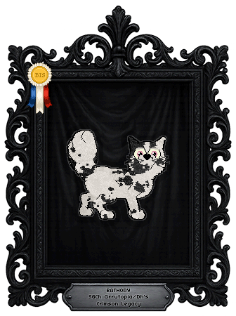 Profile image of Cirrutopia/Dh's Crimson Legacy