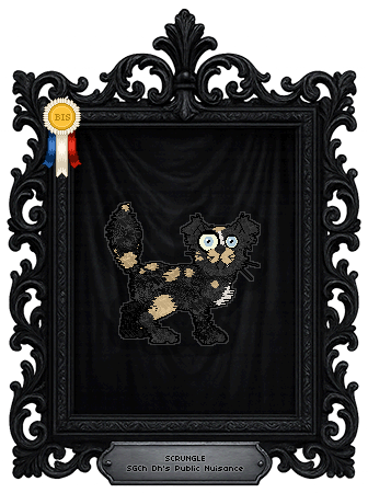 Profile image of Dh's Public Nuisance