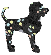 Eli/Dh's Rainbow Detonation — “Glitterbomb”