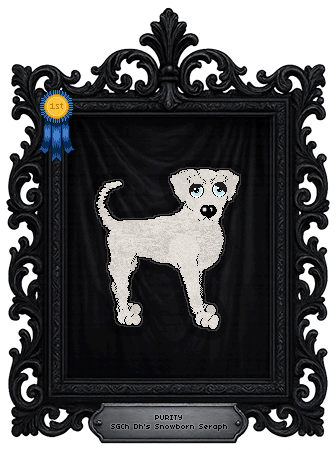 Profile image of Dh's Snowborn Seraph