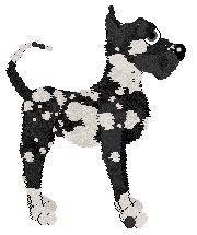 MB/Dh's Ghost Ship — “Crossbones”