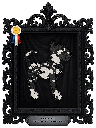 Profile image of MB/Dh's Ghost Ship