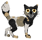 Cargo/Dh's Pawprints in the Sand — “Clamshell”