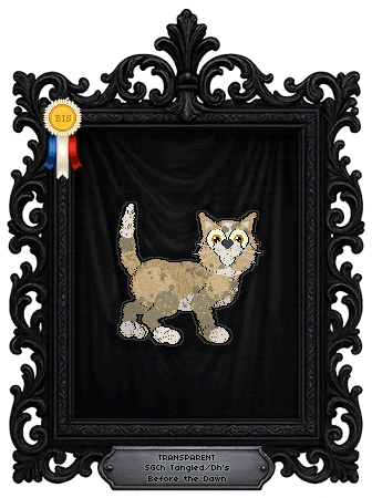 Profile image of Tangled/Dh's Before the Dawn