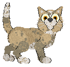 Tangled/Dh's Before the Dawn — “Transparent”