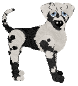 Sz/Dh's Needs More Cowbell — “Snowdrop”