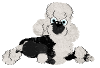 Poppyhill/Dh's Regent of Winter — “Duke”