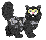 M_M's Song Beyond the Stars — “Galaxy”