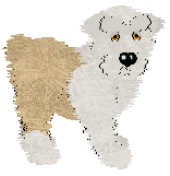 HAL's Dedication to a Cause at Vanilla — “Dedication”