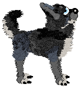 Tea's Scoop There It Is at Vanilla — “Scoop”