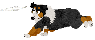 Torleiv Wintervale Spirit — “Vala”