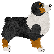 Torleiv Wintervale Spirit — “Vala”