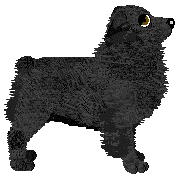 Torleiv Whisper of Runes — “Ghost”