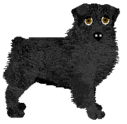 Torleiv Whisper of Runes — “Ghost”