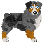 Spellbound's Silver Wanderer at Torleiv — “Bilby”