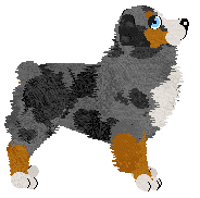 Profile image of Spellbound's Silver Wanderer at Torleiv