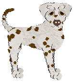 Profile image of Sz's Paradise Will Be a Kind of Library