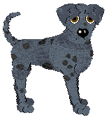 Profile image of Kizmet's Put Me In, Coach at SzK