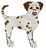 Profile image of Sz's At Attention