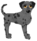 Profile image of Sz's (For Color)